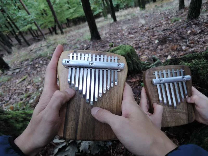 Origine et fonctionnement du Kalimba