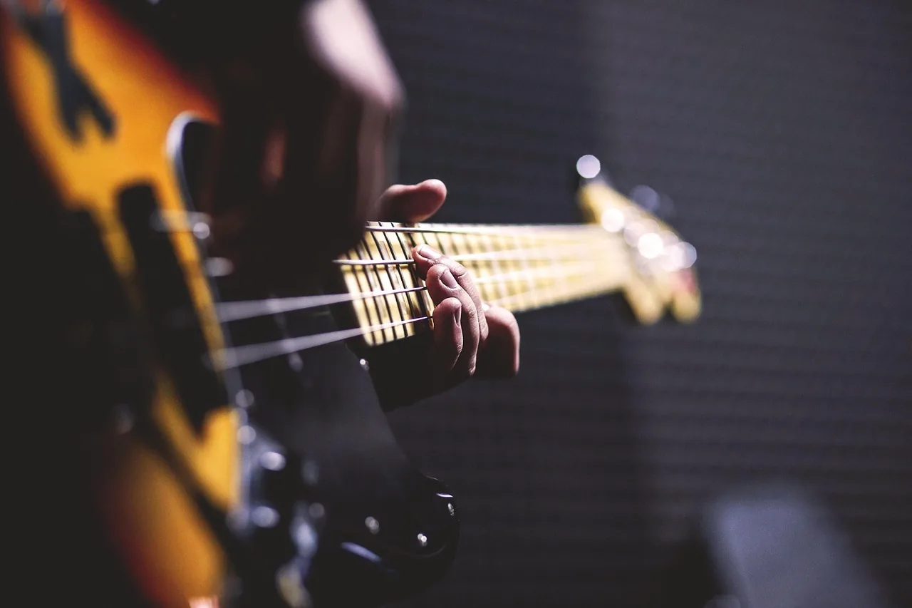 Musician playing bass guitar Musician playing bass guitar