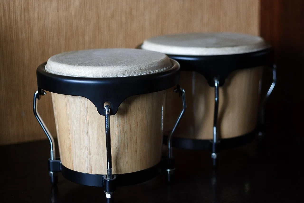 Bongos en bois pour percussion Bongos en bois pour percussion