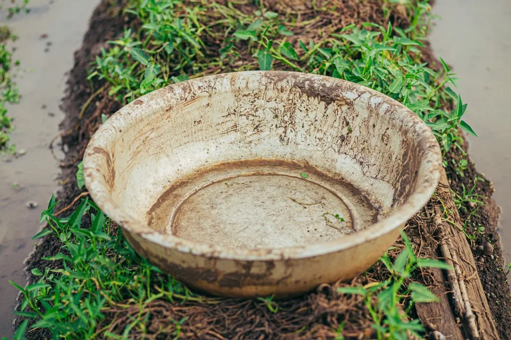 Online Training: Learn How to Use a Tibetan Bowl